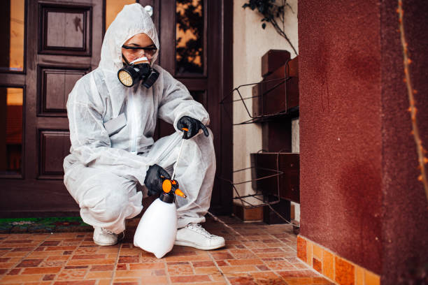 Reliable Wasp Removal contractor in East Basin, UT by Show Me Pest Control