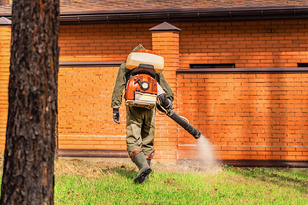 Top rated local Wasp Removal specialists in East Basin, UT